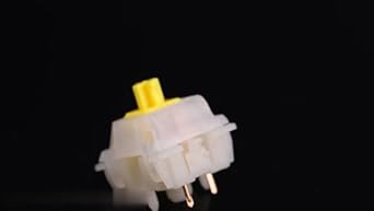 バッグ LIDAIRPEAKS 2 TONE SWITCHPACK yellow Amazon.com: for Gateron Cap Milky Yellow Switches V2 Pre